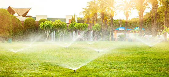 irrigation contractor