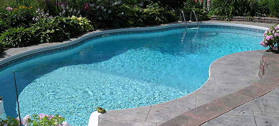 swimming pool contractor